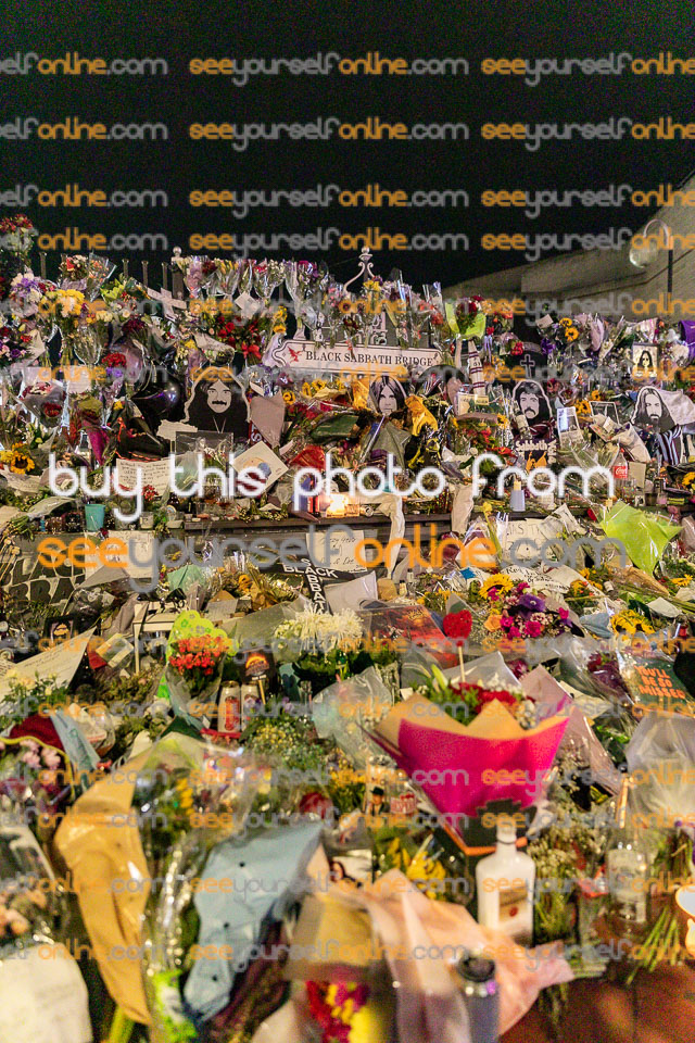 8K6A0527.jpg