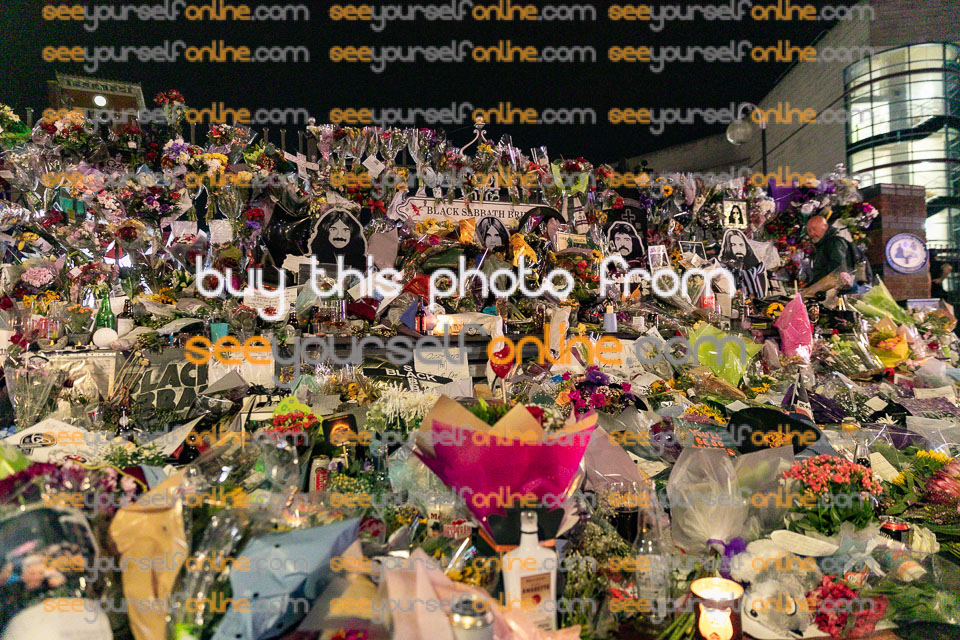 8K6A0530.jpg