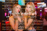 IMG_4154_Roy.jpg